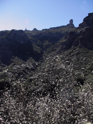 Wandern auf den Kanaren, Gran Canaria